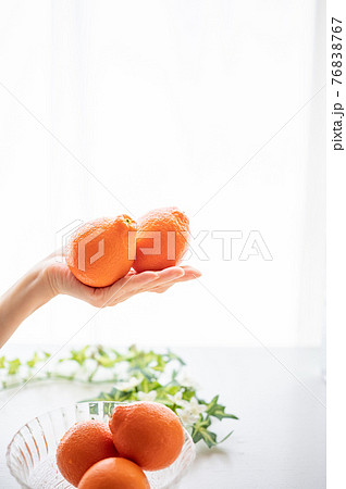 フロリダ州ミネオラオレンジ フロリダ州ミネオラオレンジ 76838767