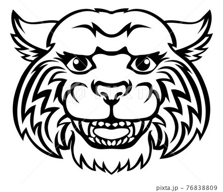 wildcat face drawing