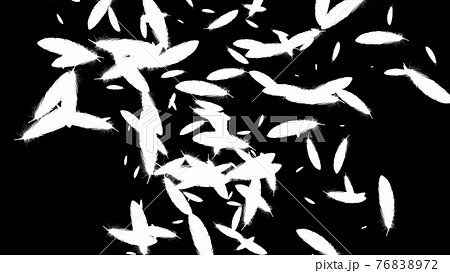 白い羽根 舞う Cg 背景 壁紙のイラスト素材 7672