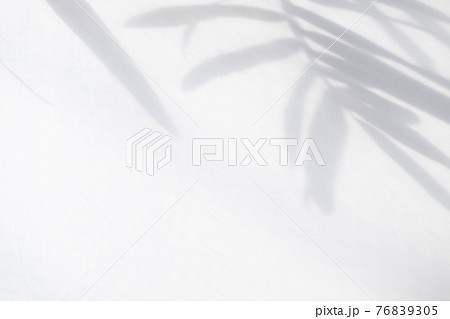 椰子の木の葉の影、シルエット【夏】 76839305