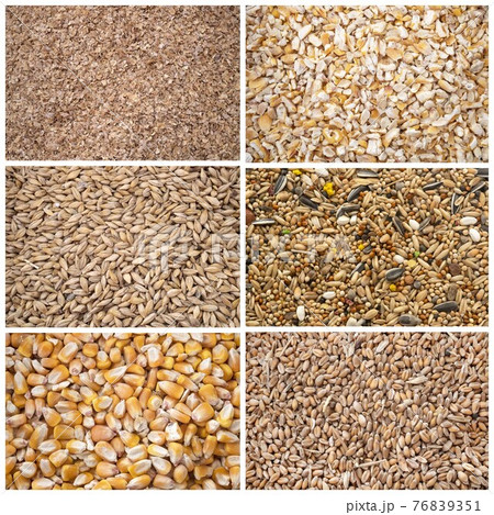cereals for animal food 76839351