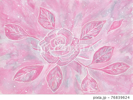 ピンク色の薔薇 76839624