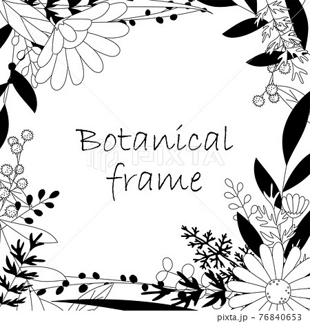 Botanical Frame Illustration Invitation And Stock Illustration