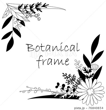 Botanical Frame Illustration Invitation And Stock Illustration