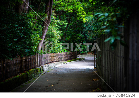 鶴岡八幡宮の祖霊社付近の小道(鎌倉市雪ノ下) 76841824