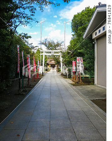 参道から見た神社の鳥居と本殿 76841829
