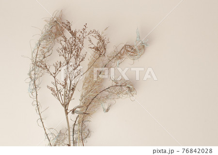 Dry reeds isolated on beige background. Abstract dry grass flowers, pile of dry herbs, hay or straw, background with copy space, monochrome, trendy minimal style Dry reeds isolated on beige background. Abstract dry grass flowers, pile of dry herbs, hay or straw, background with copy space, monochrome, trendy minimal style 76842028