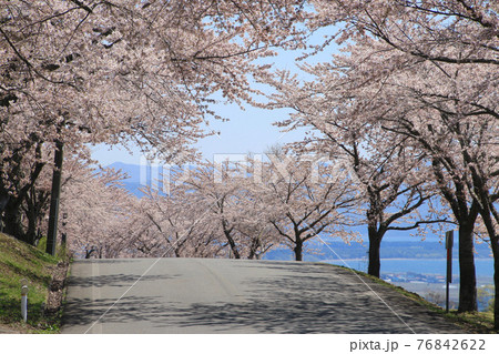 春の町営牧場（福島県・猪苗代町） 76842622