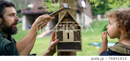 Small girl with father holding bug and insect hotel in garden, sustainable lifestyle. Small girl with father holding bug and insect hotel in garden, sustainable lifestyle. 76842810