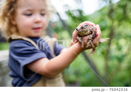 Close up portrait of small girl holding a frog outdoors in summer. 76842816
