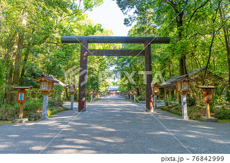 新緑の宮崎神宮　宮崎県宮崎市 76842999