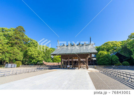 新緑の宮崎神宮 宮崎県宮崎市 新緑の宮崎神宮 宮崎県宮崎市 76843001
