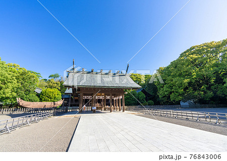 新緑の宮崎神宮　宮崎県宮崎市 76843006