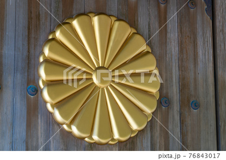 新緑の宮崎神宮 宮崎県宮崎市 新緑の宮崎神宮 宮崎県宮崎市 76843017