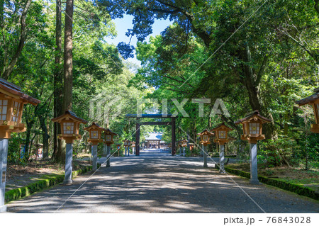 新緑の宮崎神宮　宮崎県宮崎市 76843028