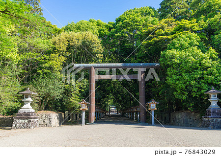 新緑の宮崎神宮　宮崎県宮崎市 76843029