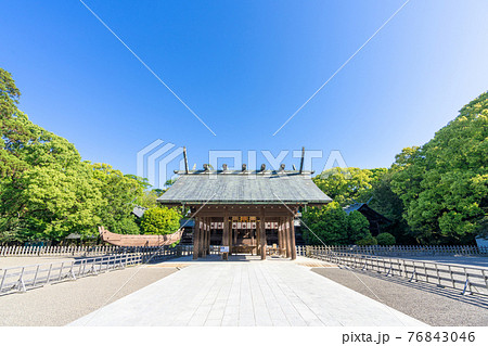 新緑の宮崎神宮　宮崎県宮崎市 76843046