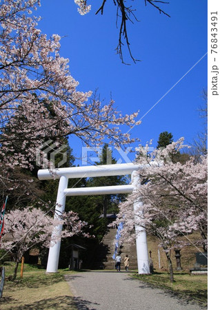 春の土津神社(福島県・猪苗代町) 春の土津神社(福島県・猪苗代町) 76843491