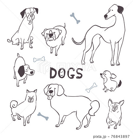 犬のイラスト詰め合わせ（手描き風／線画）のイラスト素材 [76843897