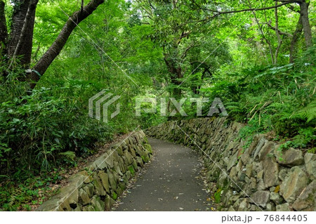 陣ケ下渓谷公園 陣ケ下渓谷公園 76844405