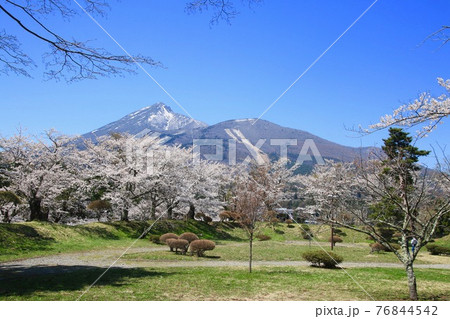 亀ヶ城跡からの磐梯山と桜（福島県・猪苗代町） 76844542