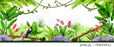 Jungle vector frame, rainforest exotic border, wildlife tropical nature banner, toucan, liana.  76844812