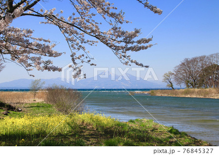 春の猪苗代湖と磐梯山(郡山市・湖南町) 春の猪苗代湖と磐梯山(郡山市・湖南町) 76845327