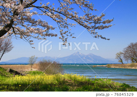 春の猪苗代湖と磐梯山（郡山市・湖南町） 76845329