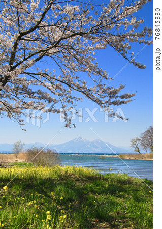 春の猪苗代湖と磐梯山（郡山市・湖南町） 76845330