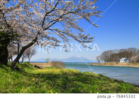 春の猪苗代湖と磐梯山（郡山市・湖南町） 76845332