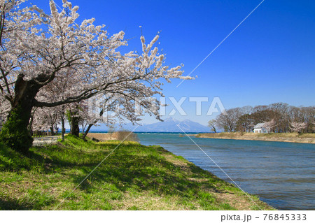 春の猪苗代湖と磐梯山（郡山市・湖南町） 76845333