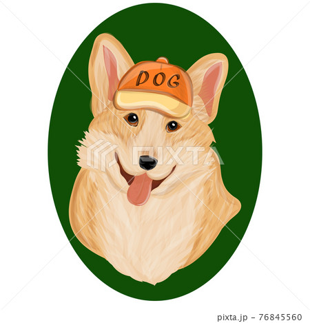 Corgi dog print Corgi dog print 76845560