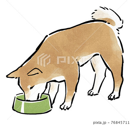 餌皿からドッグフードを食べる柴犬のイラスト素材