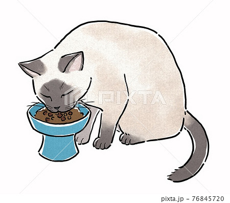 餌皿からキャットフードを食べるシャム猫のイラスト素材