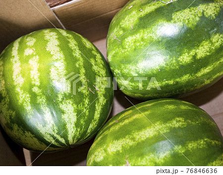 High angle view of watermelons in grocery store 76846636