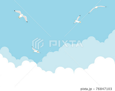夏の空　カモメが舞う空 76847103