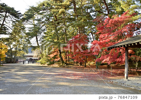 平泉 毛越寺境内の紅葉 平泉 毛越寺境内の紅葉 76847109