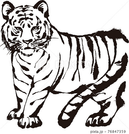 寅年 虎 ハンコ スタンプ シルエット 切絵 墨絵 年賀状素材 正月素材 イラスト 寅年 虎 ハンコ スタンプ シルエット 切絵 墨絵 年賀状素材 正月素材 イラスト 76847359