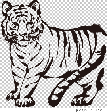 虎年虎印郵票剪影剪紙sumi-e賀年片素材新年素材插畫 76847359