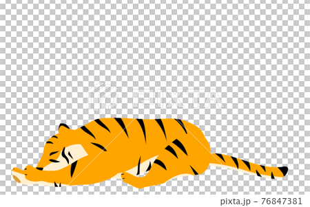 簡單的老虎姿勢圖，躺著睡覺 76847381