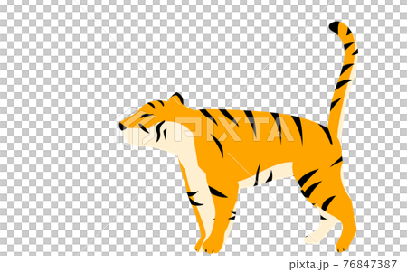 Simple tiger pose illustration, standing 76847387