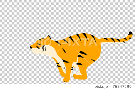 シンプルな虎のポーズイラスト 走って地面を蹴るところのイラスト素材