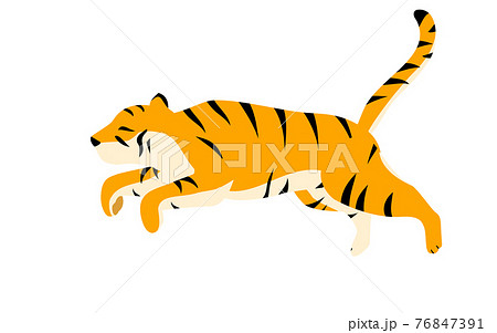 シンプルな虎のポーズイラスト 走って宙を飛ぶところのイラスト素材