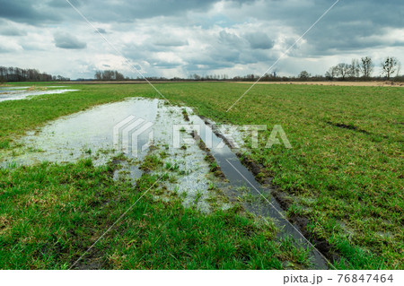 Flooded meadow with water and clouds on the sky, Nowiny, Poland 76847464