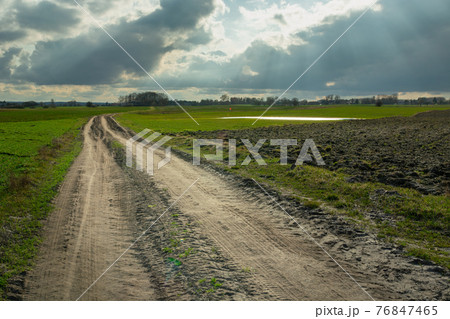 Rural road through fields and sunbeams on the sky, Czulczyce, Poland 76847465