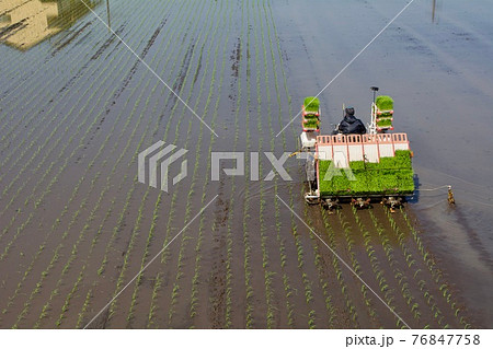 田植えシーズン 田植えシーズン 76847758