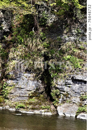 長瀞・女滝（長瀞自然の道） 76848732