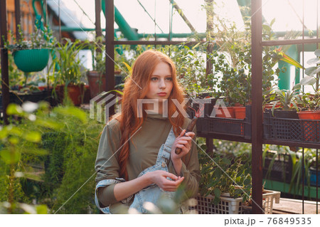 Home gardening concept. Young red haired woman plants floral in greenhouse. Home gardening concept. Young red haired woman plants floral in greenhouse. 76849535