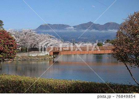 桜　波志江沼環境ふれあい公園 76849854