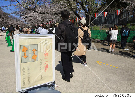 2度目の緊急事態宣言解除後の上野 2度目の緊急事態宣言解除後の上野 76850506